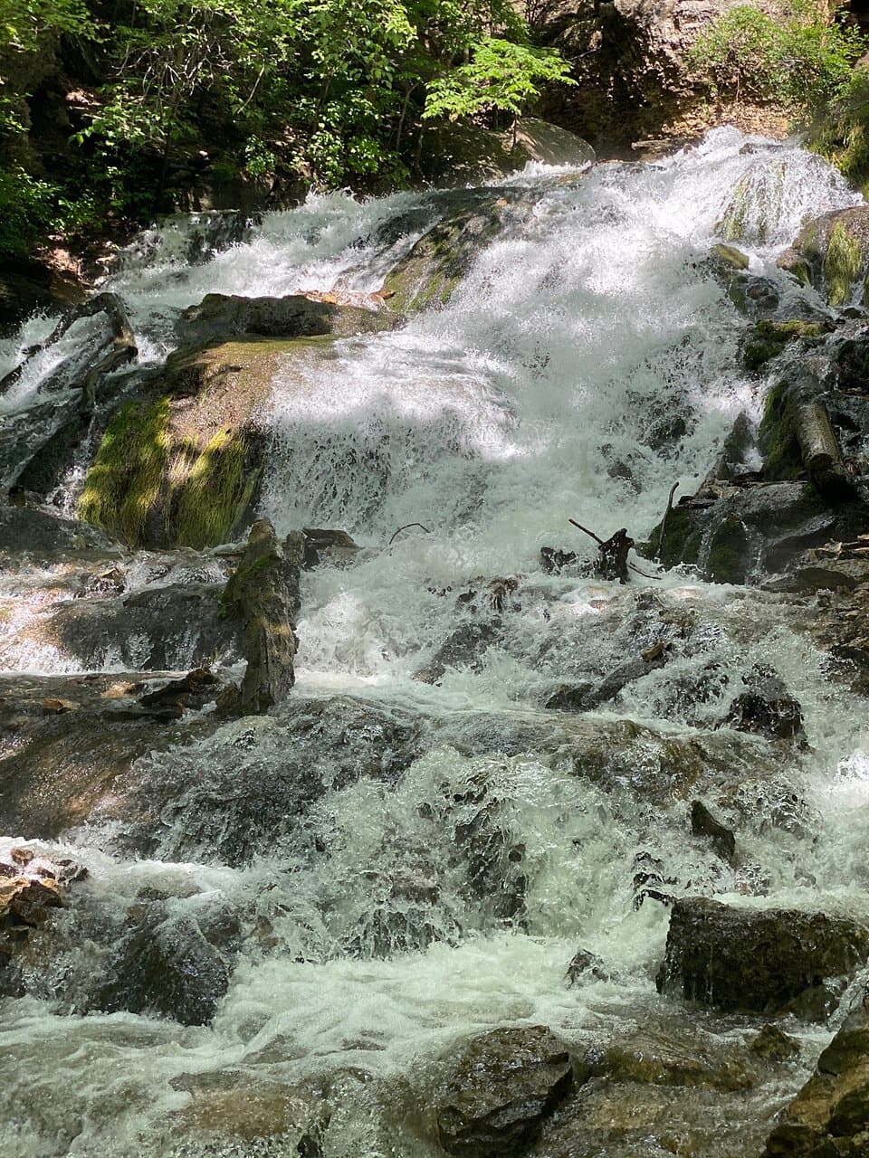 Dunning's Spring Park