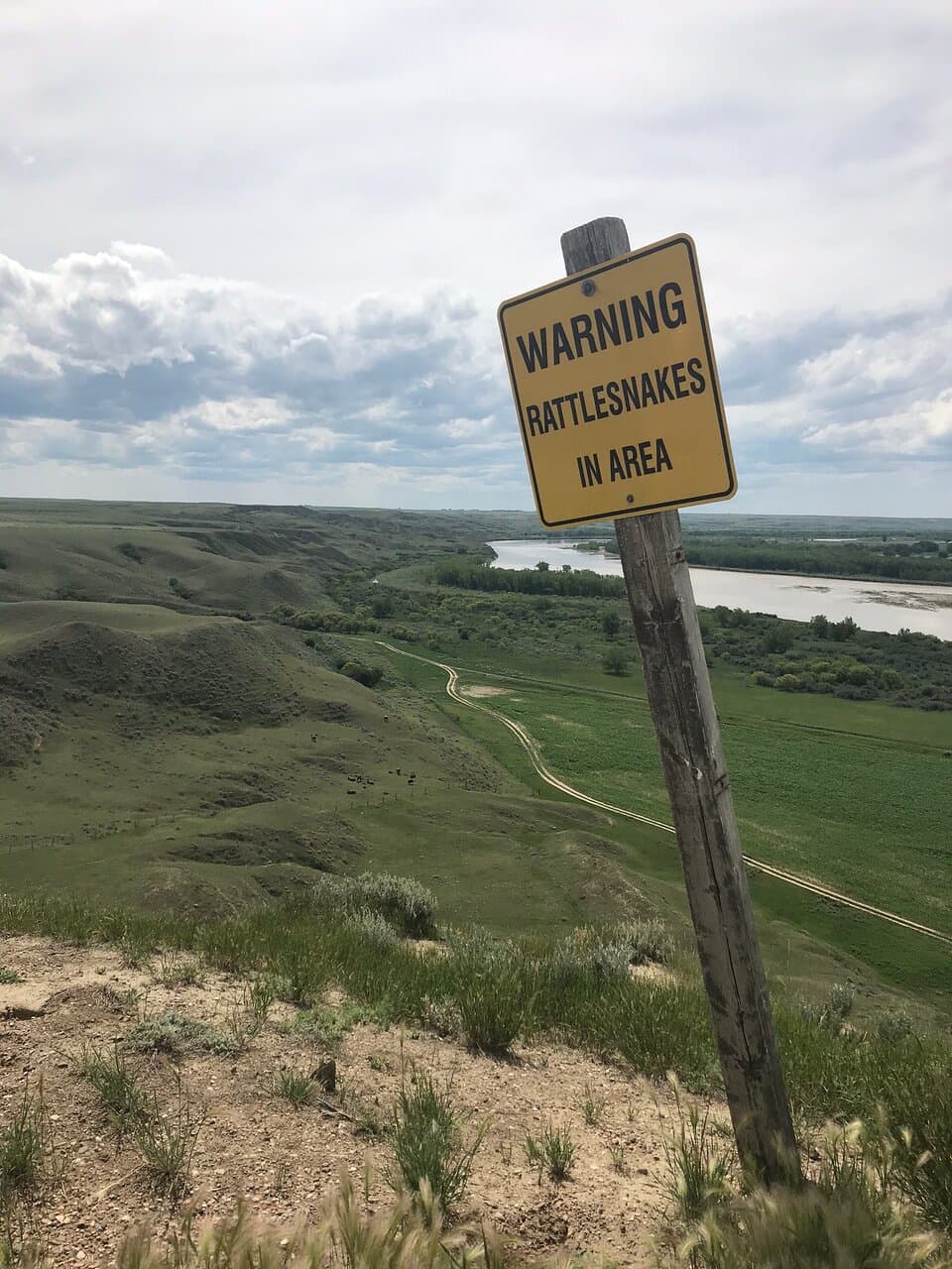 Hike to the summit of Kai Tak Hill