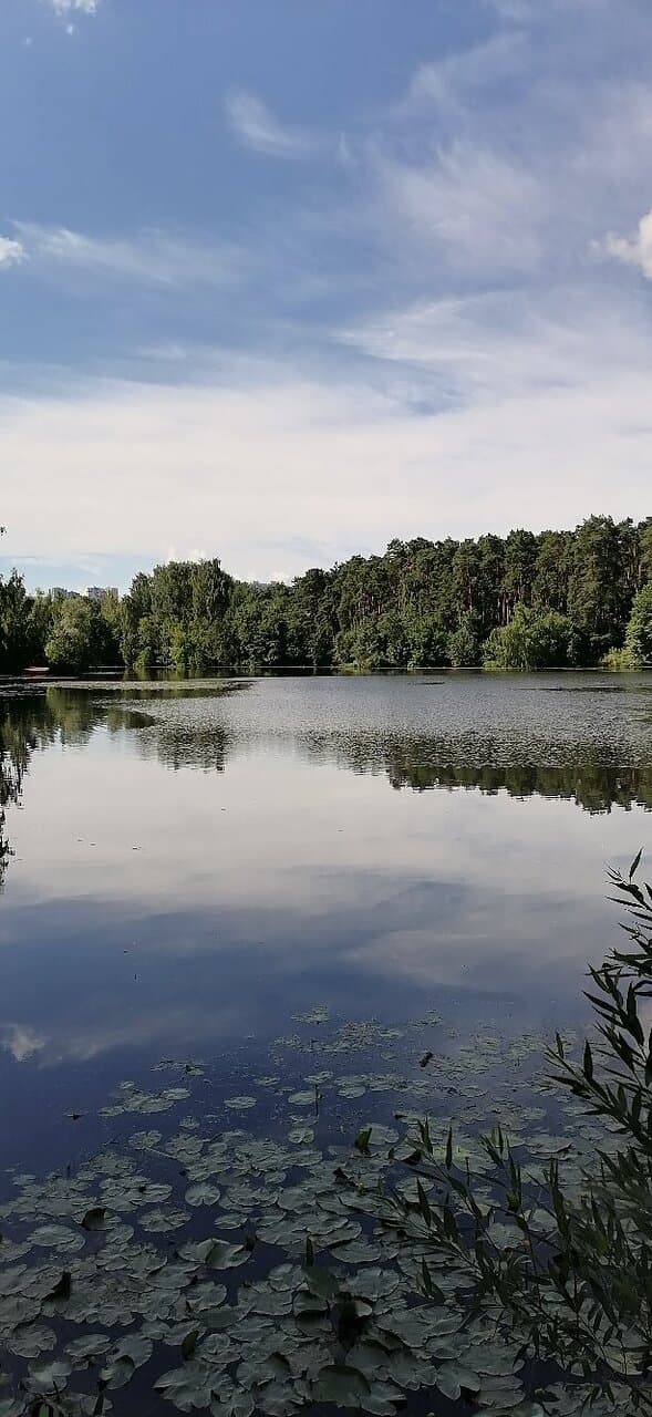 Парк Серебряный бор