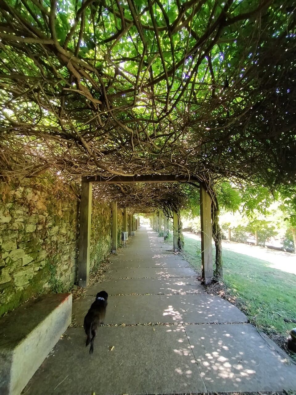 Parque de Belvís Santiago de Compostela