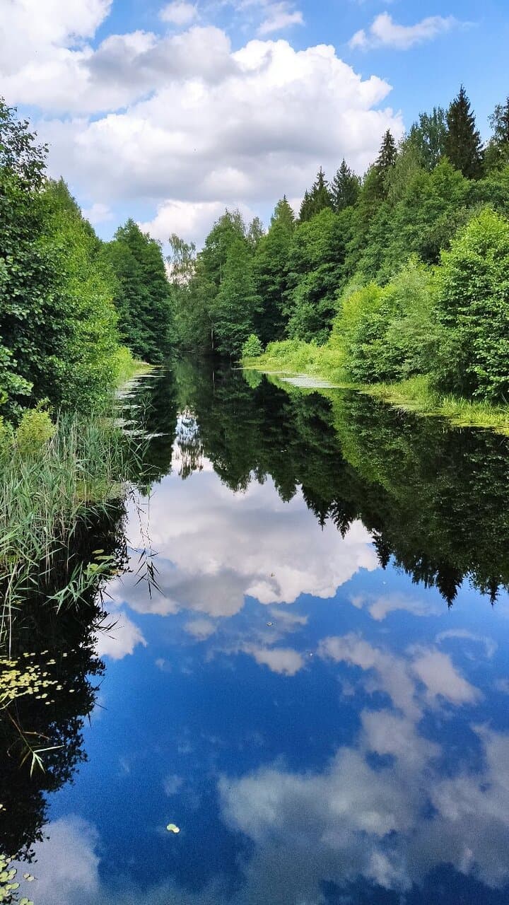 Berezinsky Biosphere Reserve Belarus