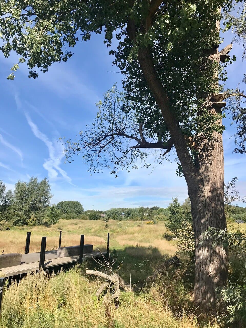 Gentbrugse Meersen Park