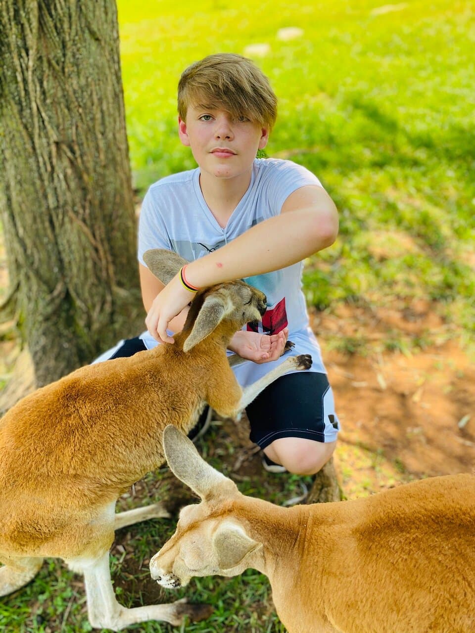 Kentucky Down Under Adventure Zoo