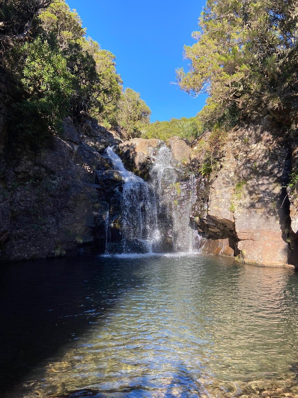 PR6.2 Levada do Alecrim