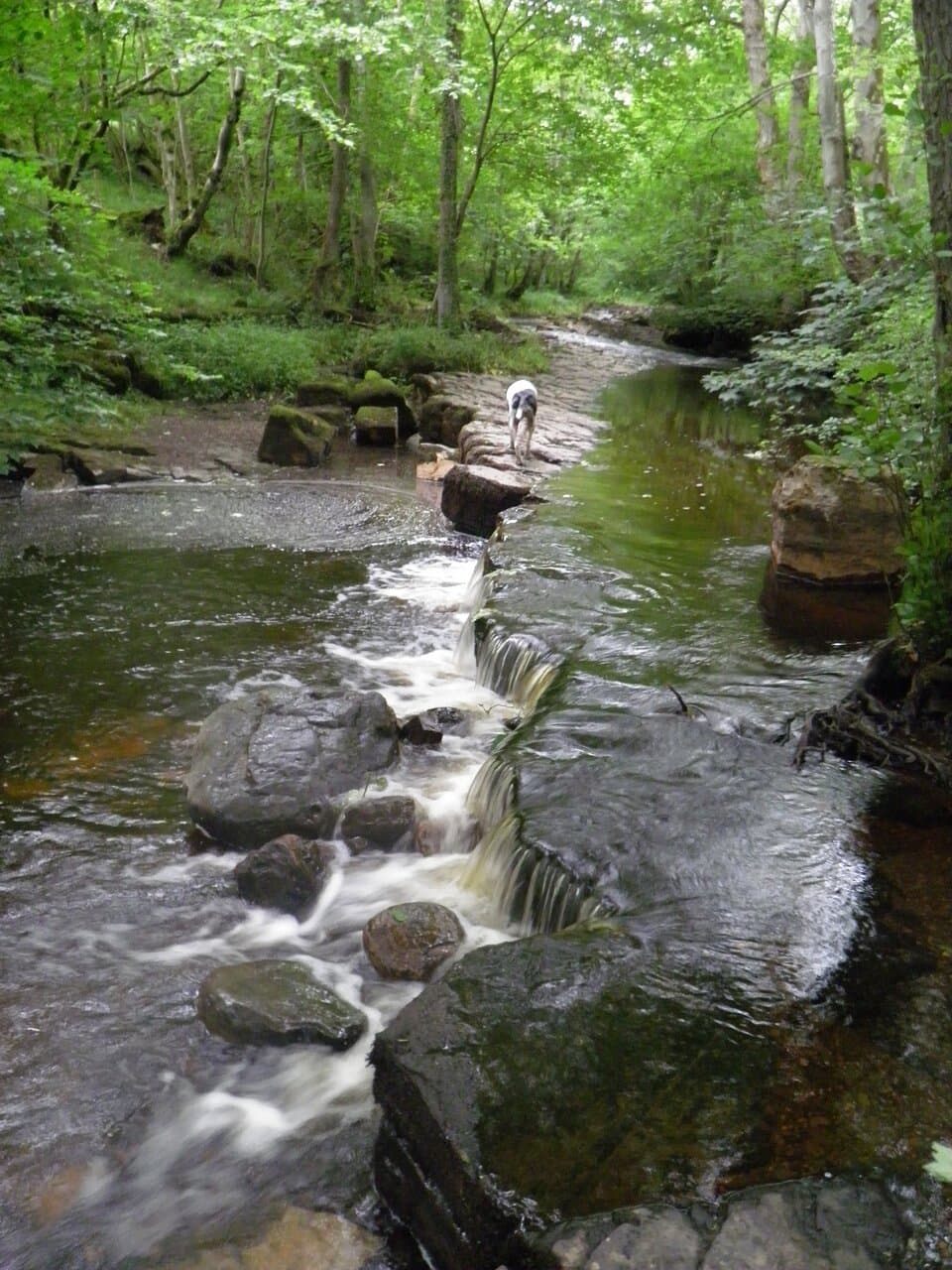Limestone mini fall