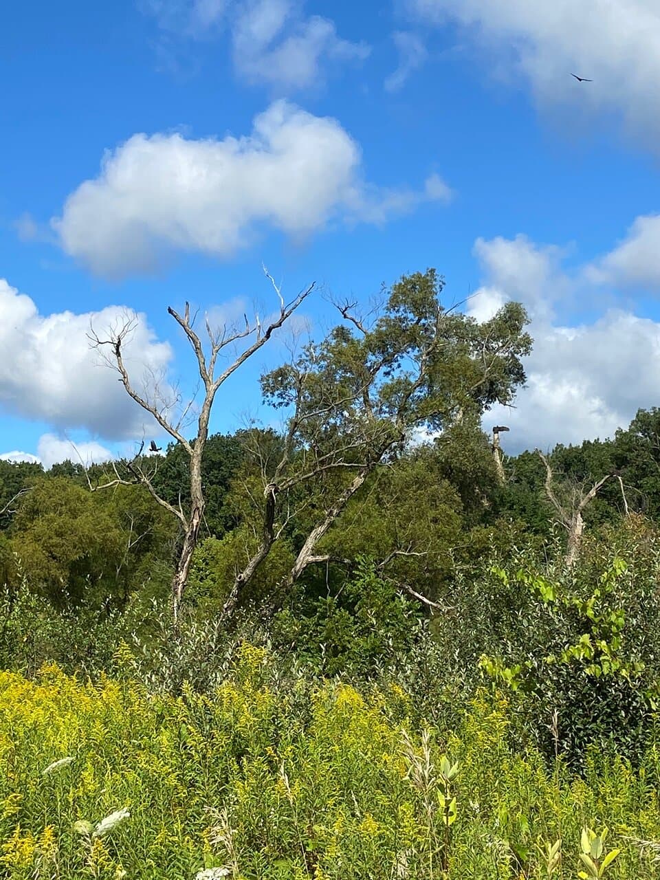 West Lake Nature Preserve