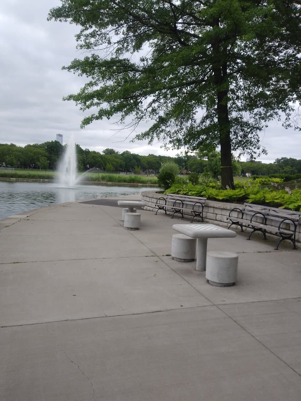 Lincoln Park East Pond and Lounge Area