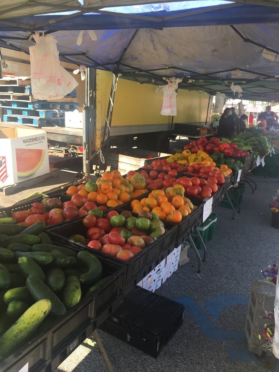 Chesterton’s European Market