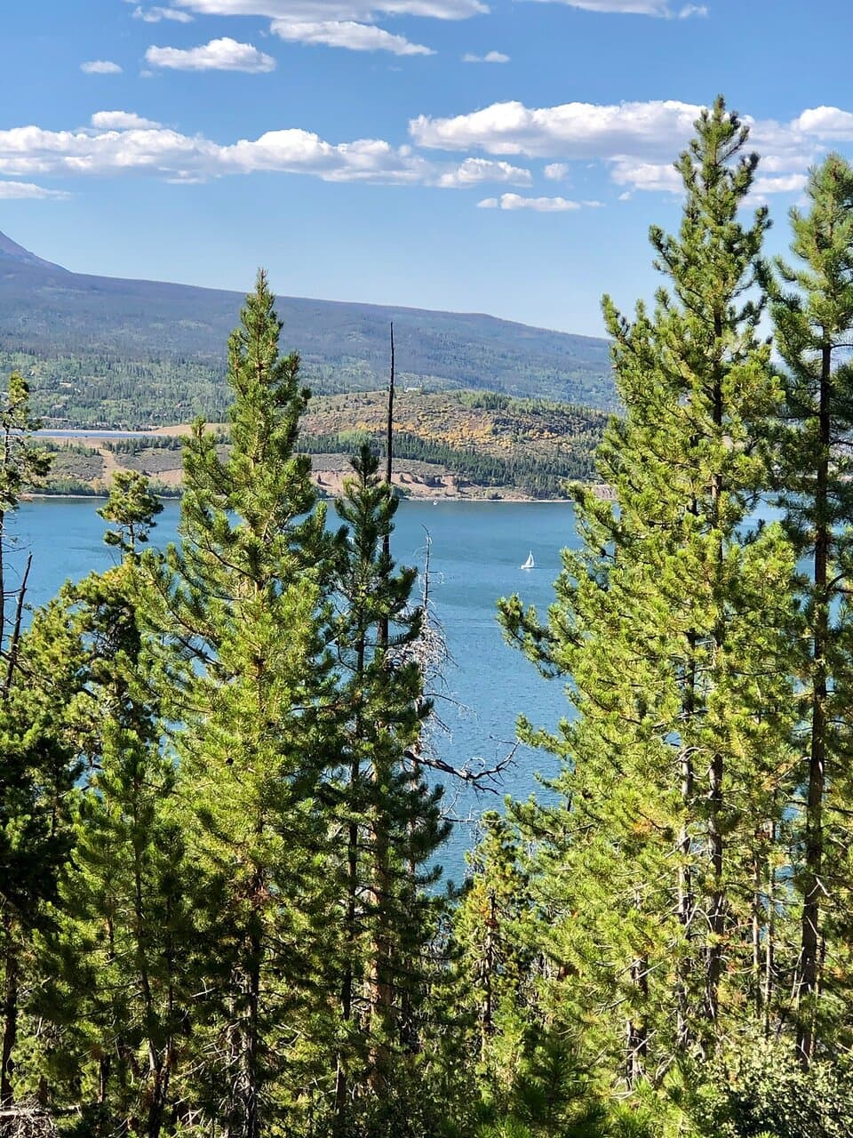 The trail was a beautiful walk worth visiting.