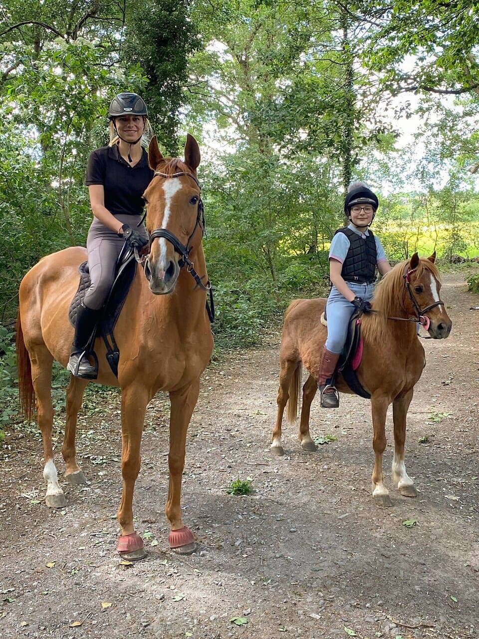 Some sunny riding recently 