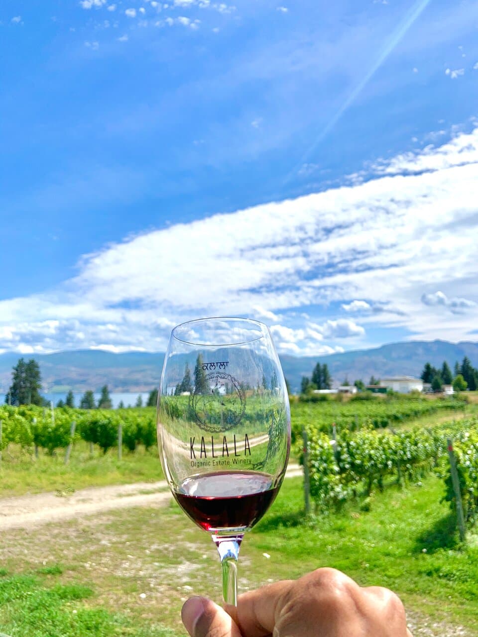 Kalala Organic Estate Winery