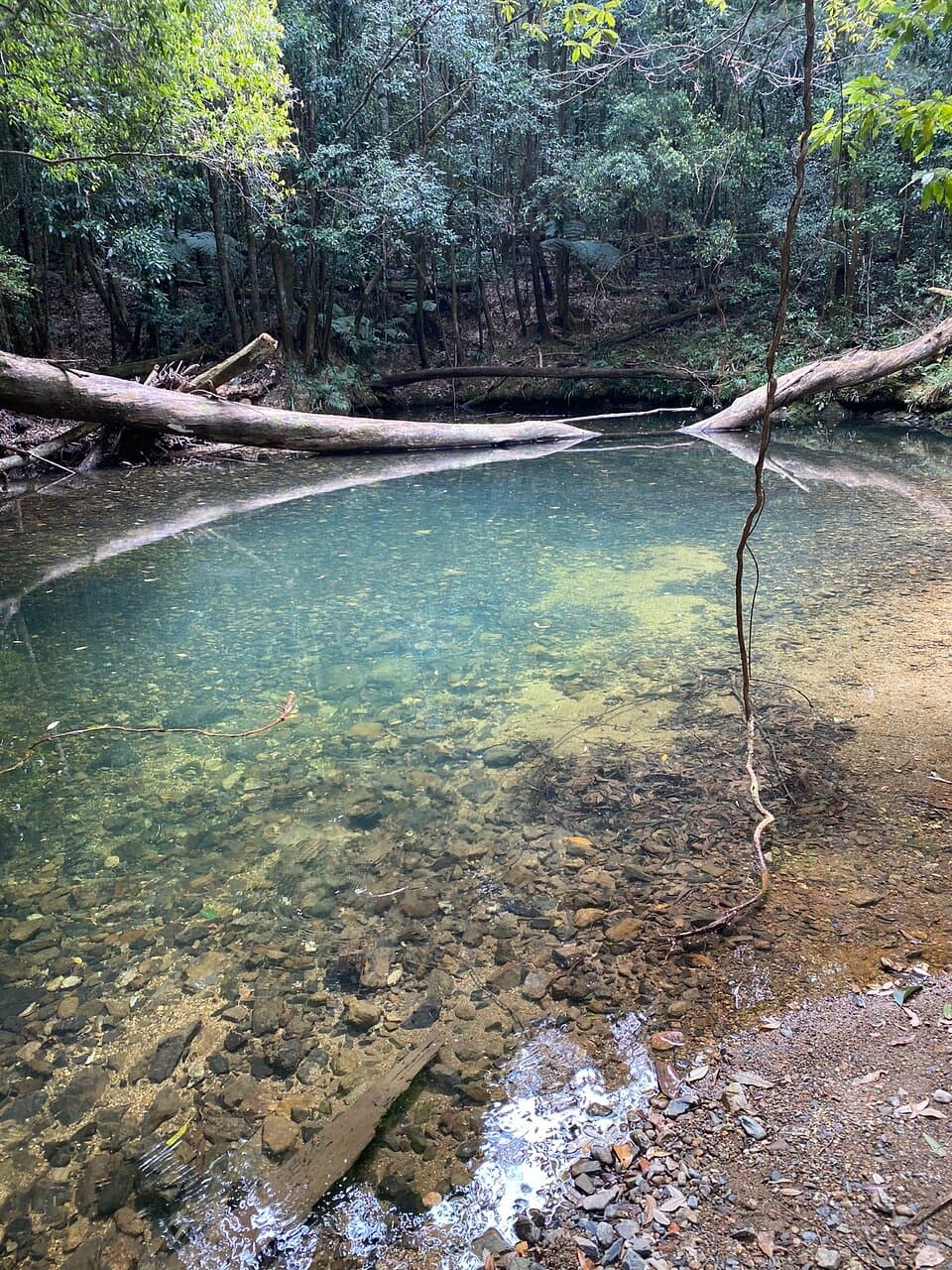 Bindarri National Park