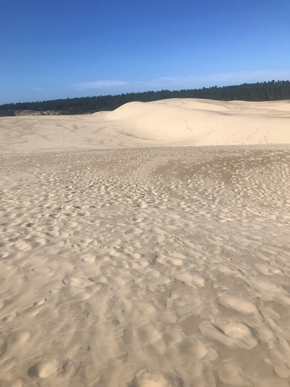 John Dellenback Dunes Trail Oregon Dunes National Recreation Area