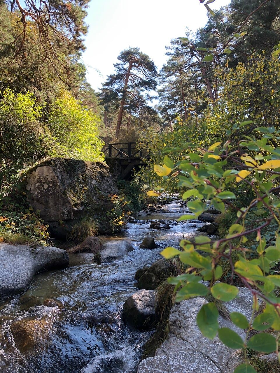 Boca del Asno Valsaín