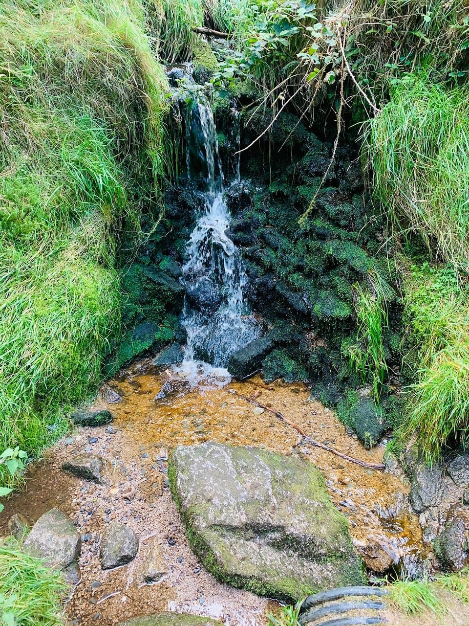 Cruagh Wood Trail
