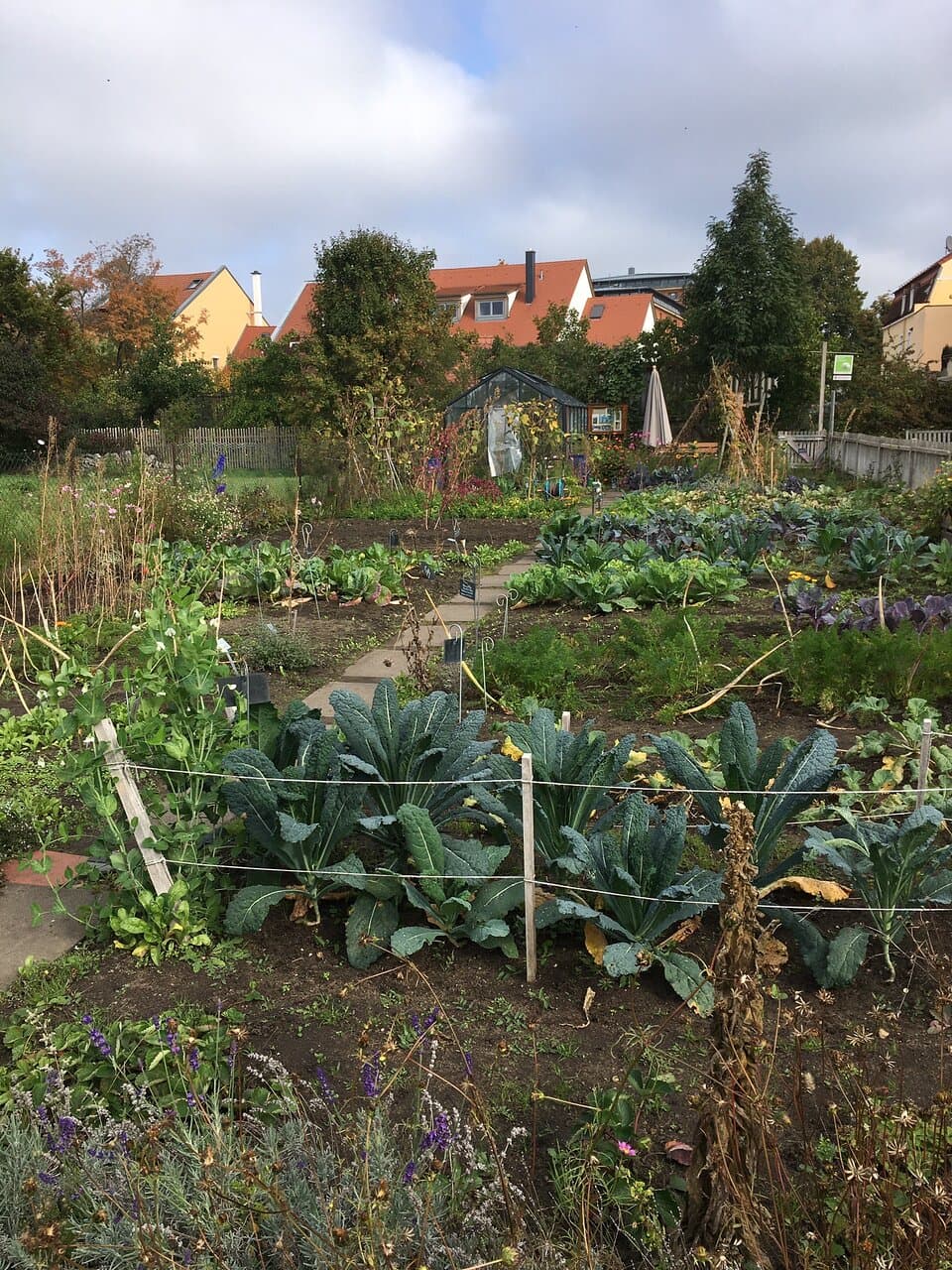 Market Gardeners and Wine Growers Museum