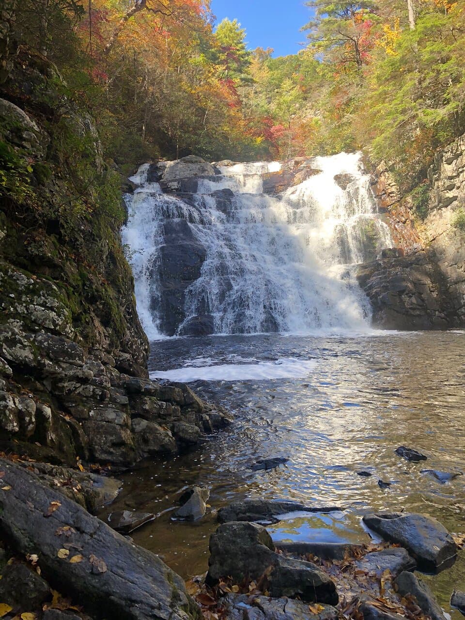 Laurel Fork Falls