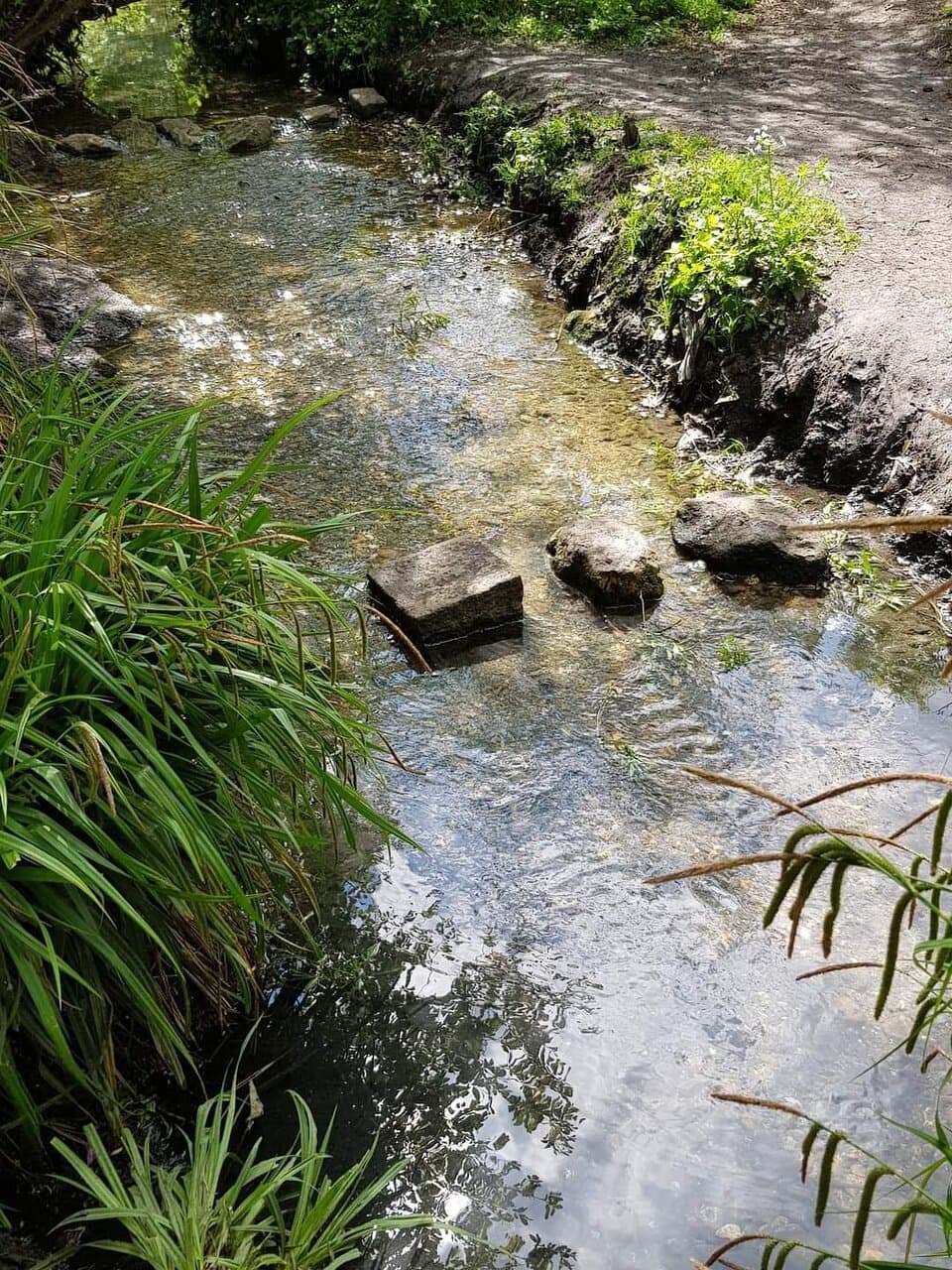 South Norwood Country Park
