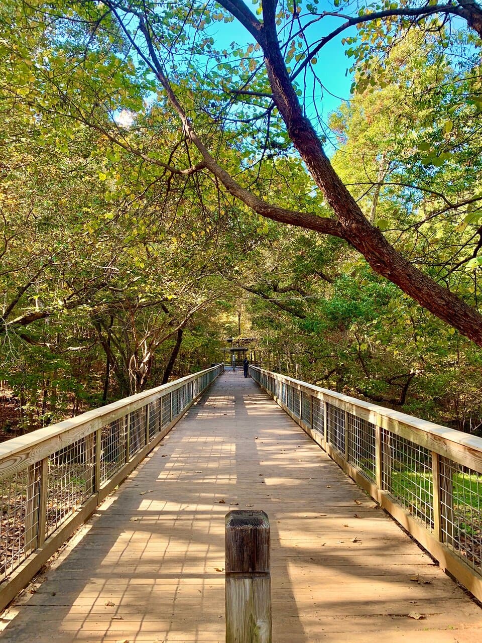 McDaniel Farm Park
