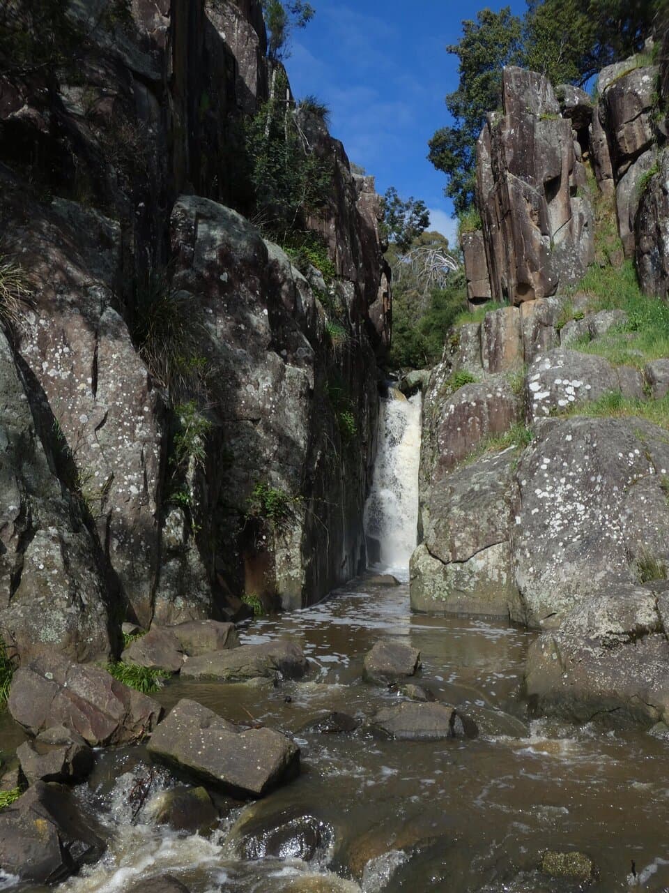 Punchbowl Reserve