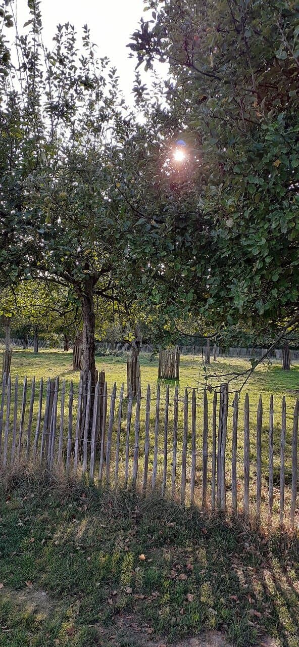Parc du Landry