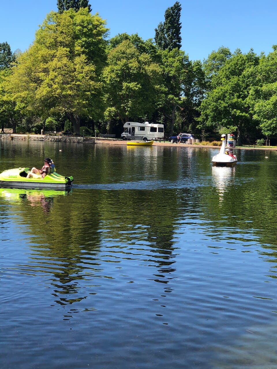 Queen Elizabeth Park Masterton