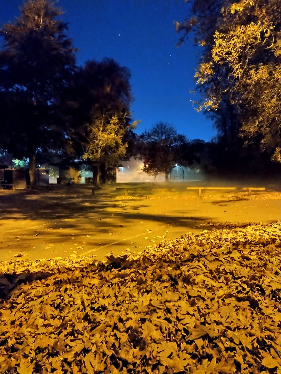 Beautiful place to take pictures at night!