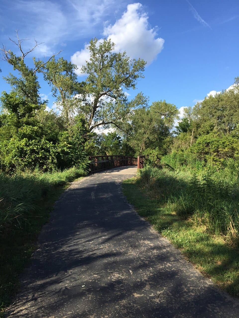 A Lovely trail bridge