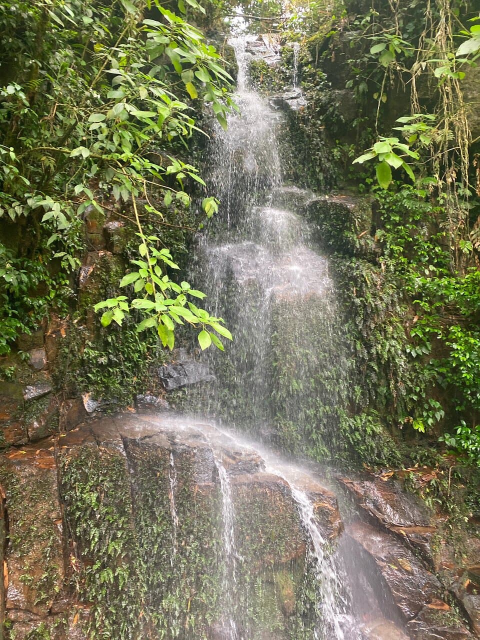 Parque Estadual de Ilhabela