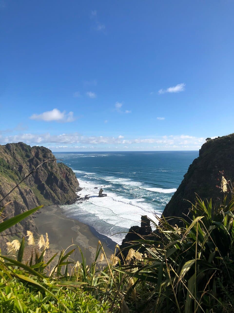 Mercer Bay Loop Track Auckland
