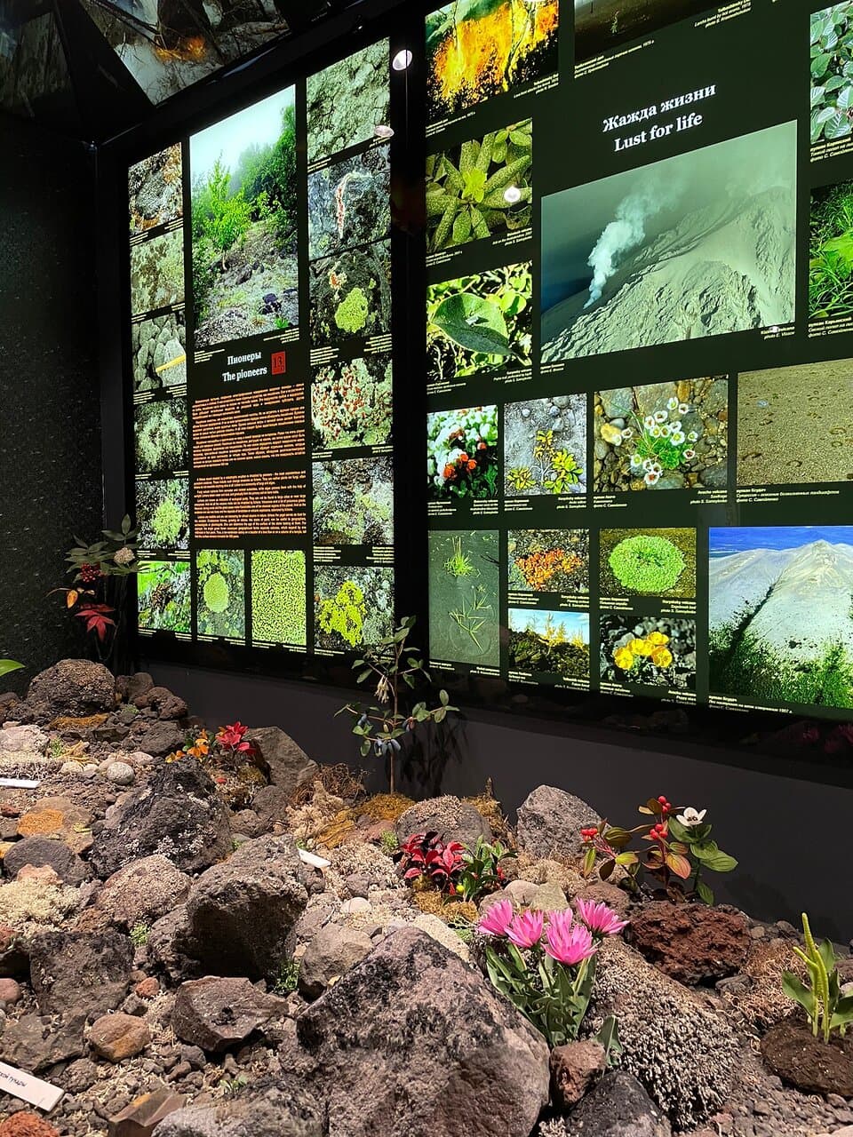 Vulkanarium