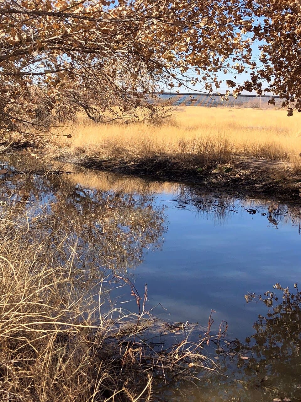 Rio Bosque Wetlands Park