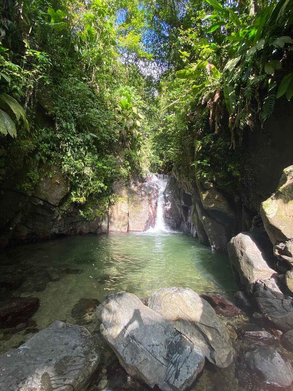 Cascade Absalon