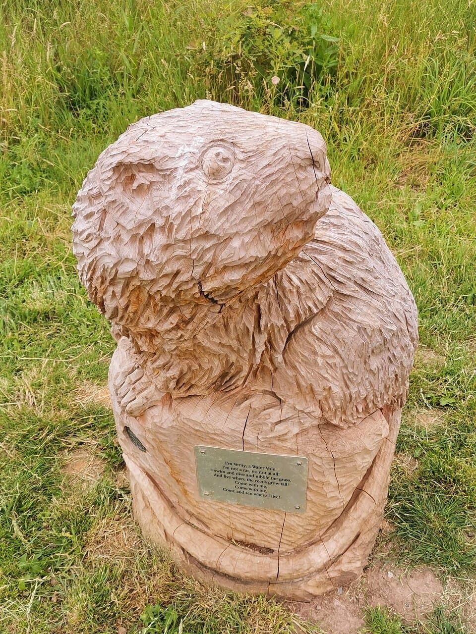 Tuesday 30th June 2020 Walk with Liam around Harold Court & Pages Woods 