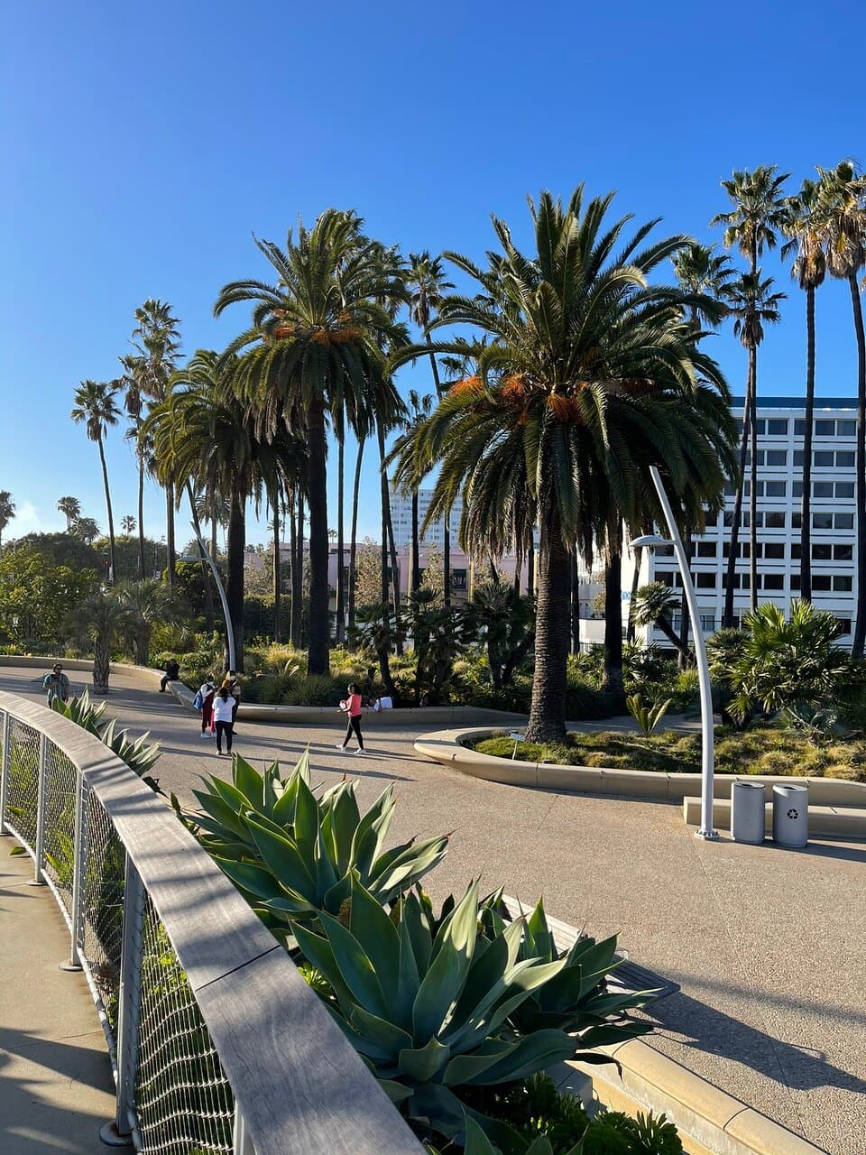 Tongva Park Los Angeles
