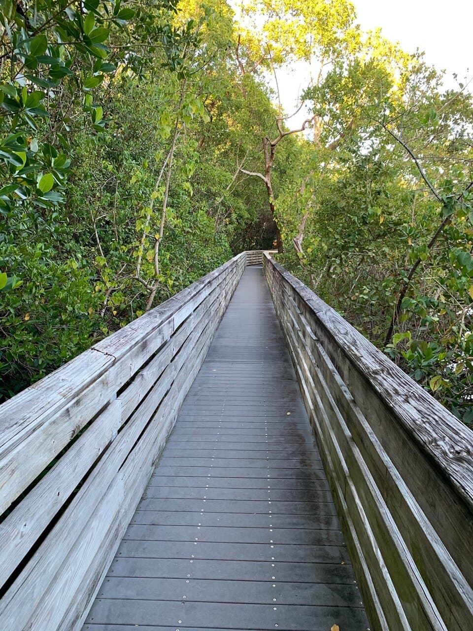 George Richardson Park