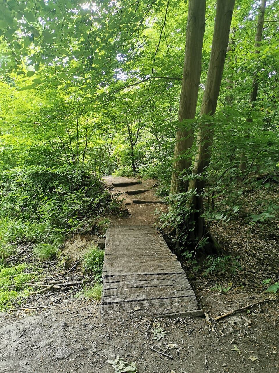 Perry Wood Local Nature Reserve