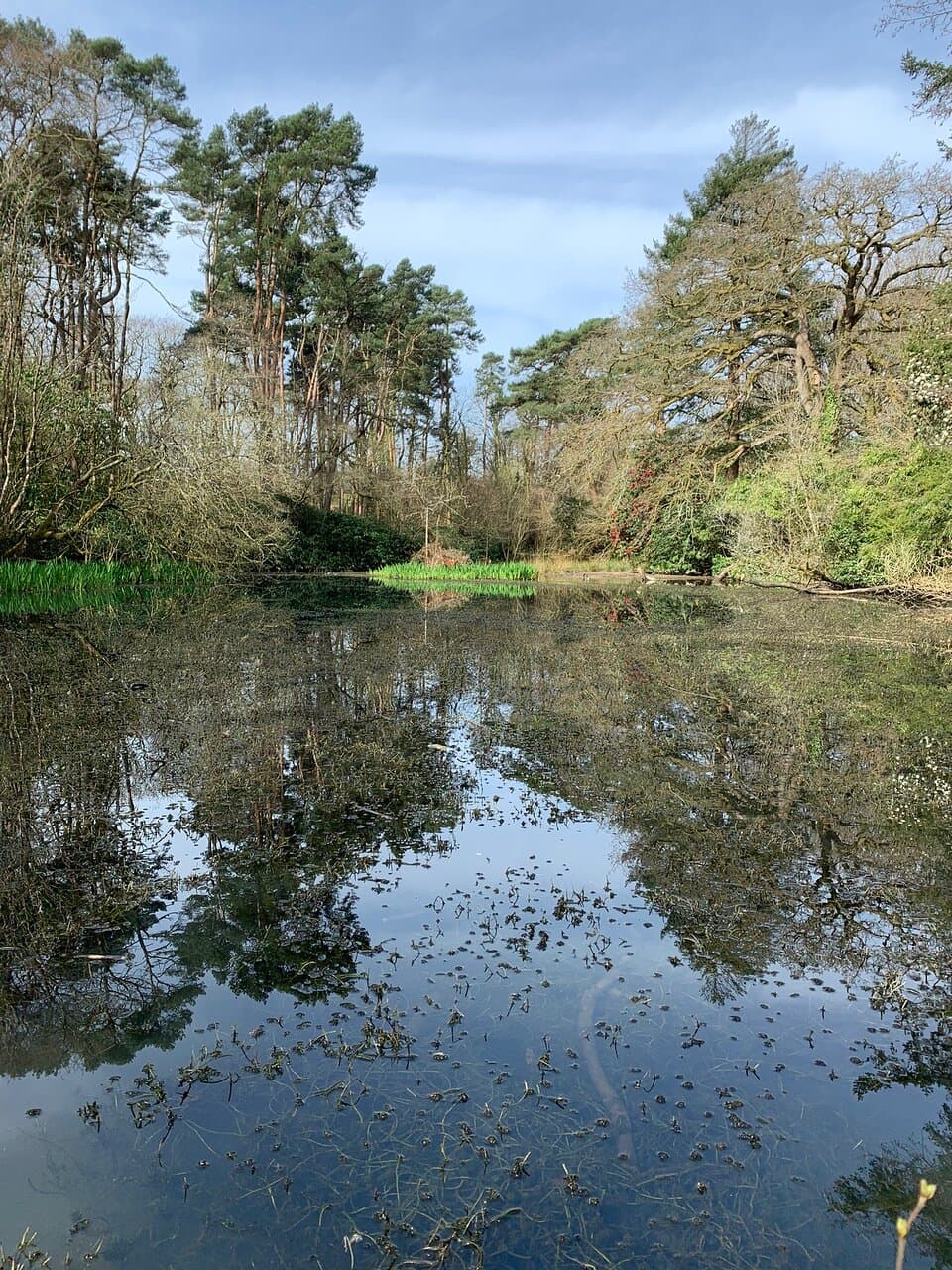 Bryngarw Country Park