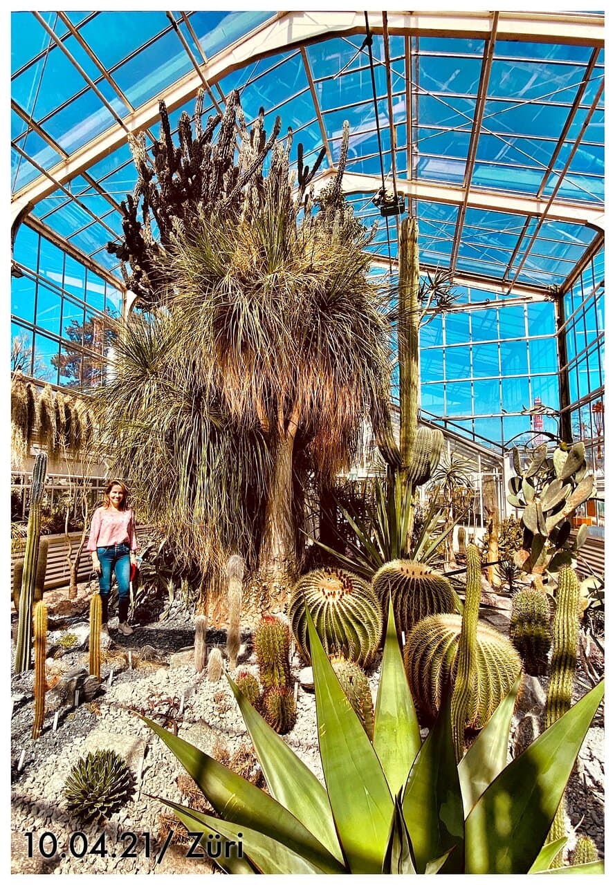 Einfach weils schön ist