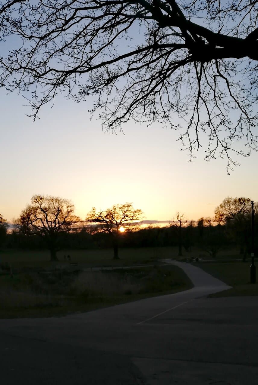 Enfield Town Park