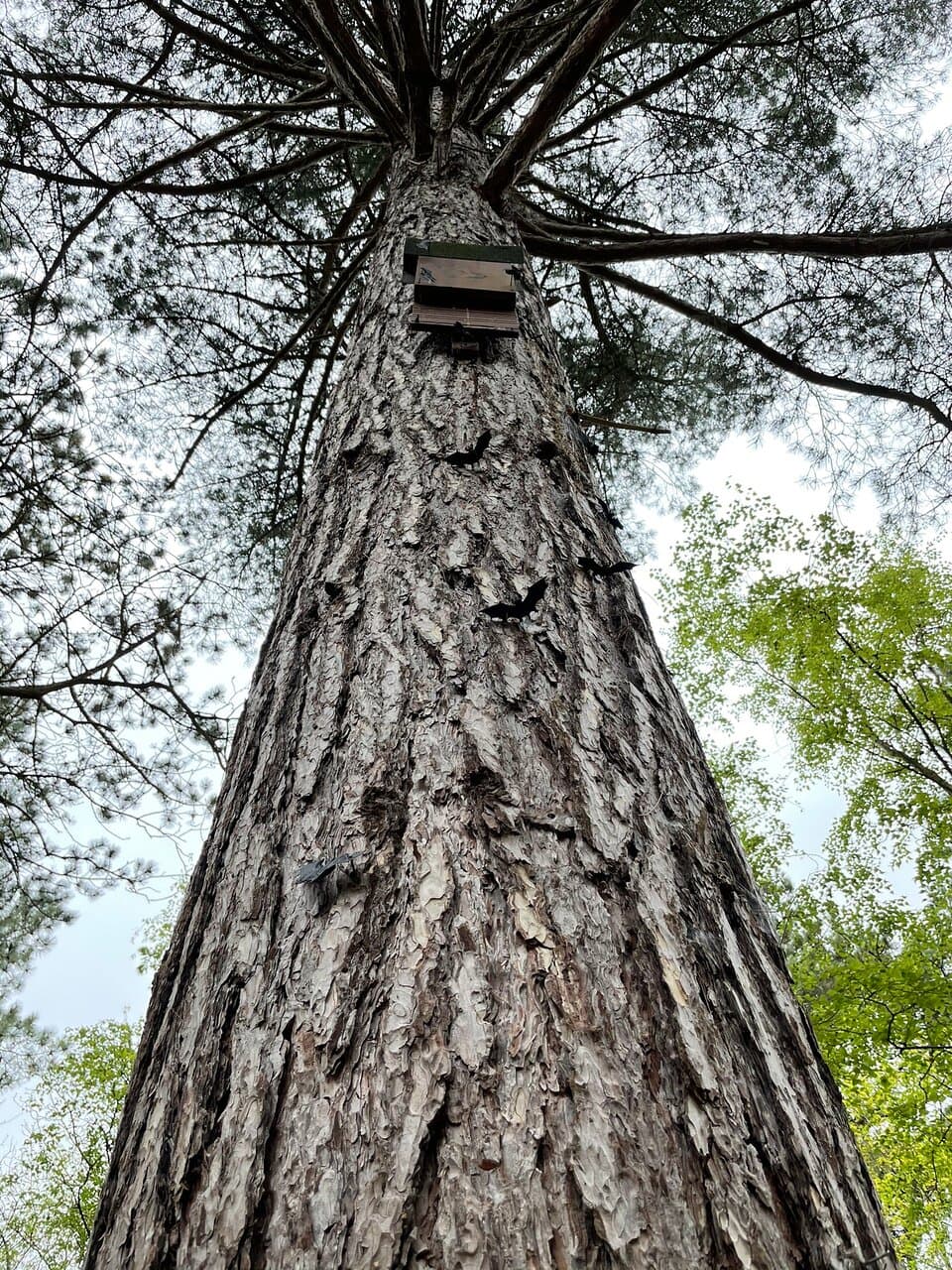 Speuren naar leuke dingen