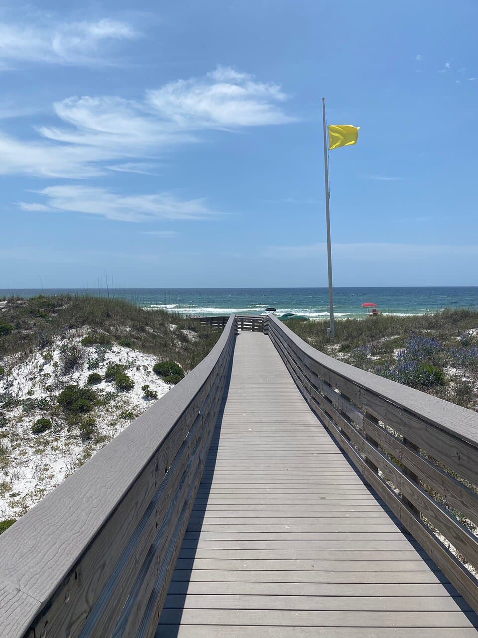 Inlet Beach Regional Access