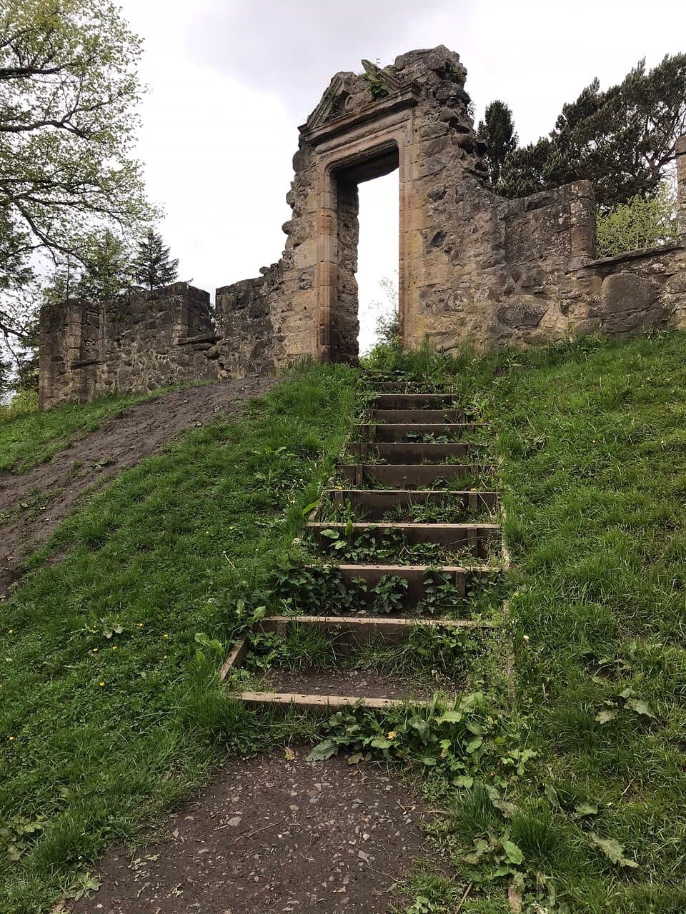 Cammo Local Nature Reserve