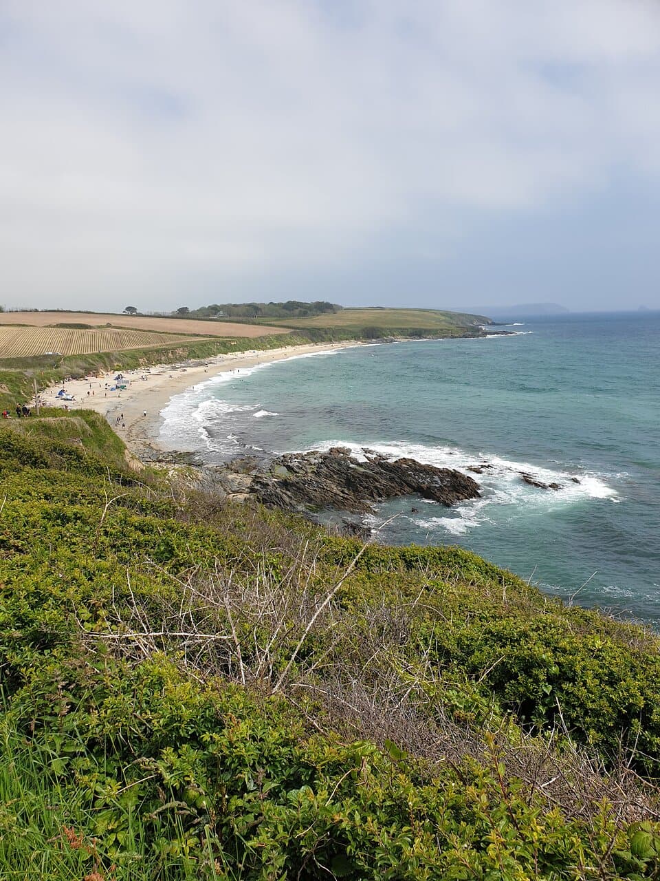 Towan Beach