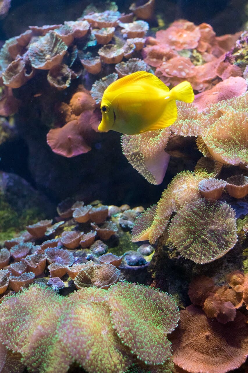 Des décors naturels soignés et agréables.