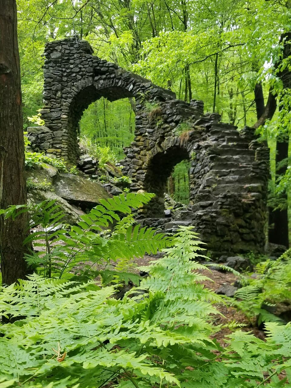 Madame Sherri Forest Chesterfield New Hampshire