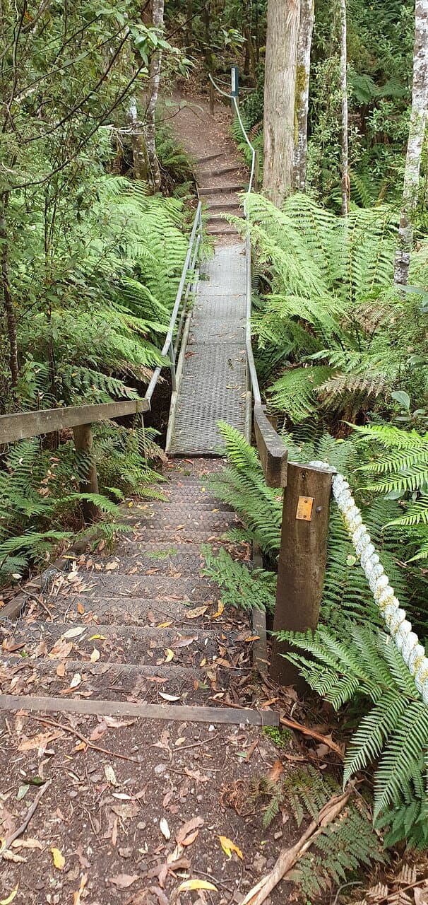 Leven Canyon Lookout Track