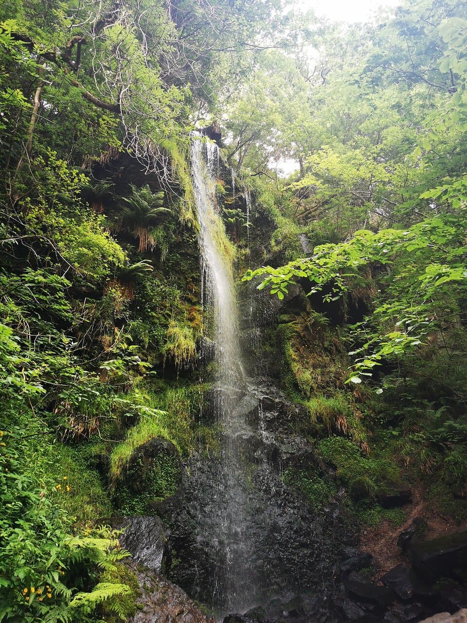 Mallyan Spout Waterfall