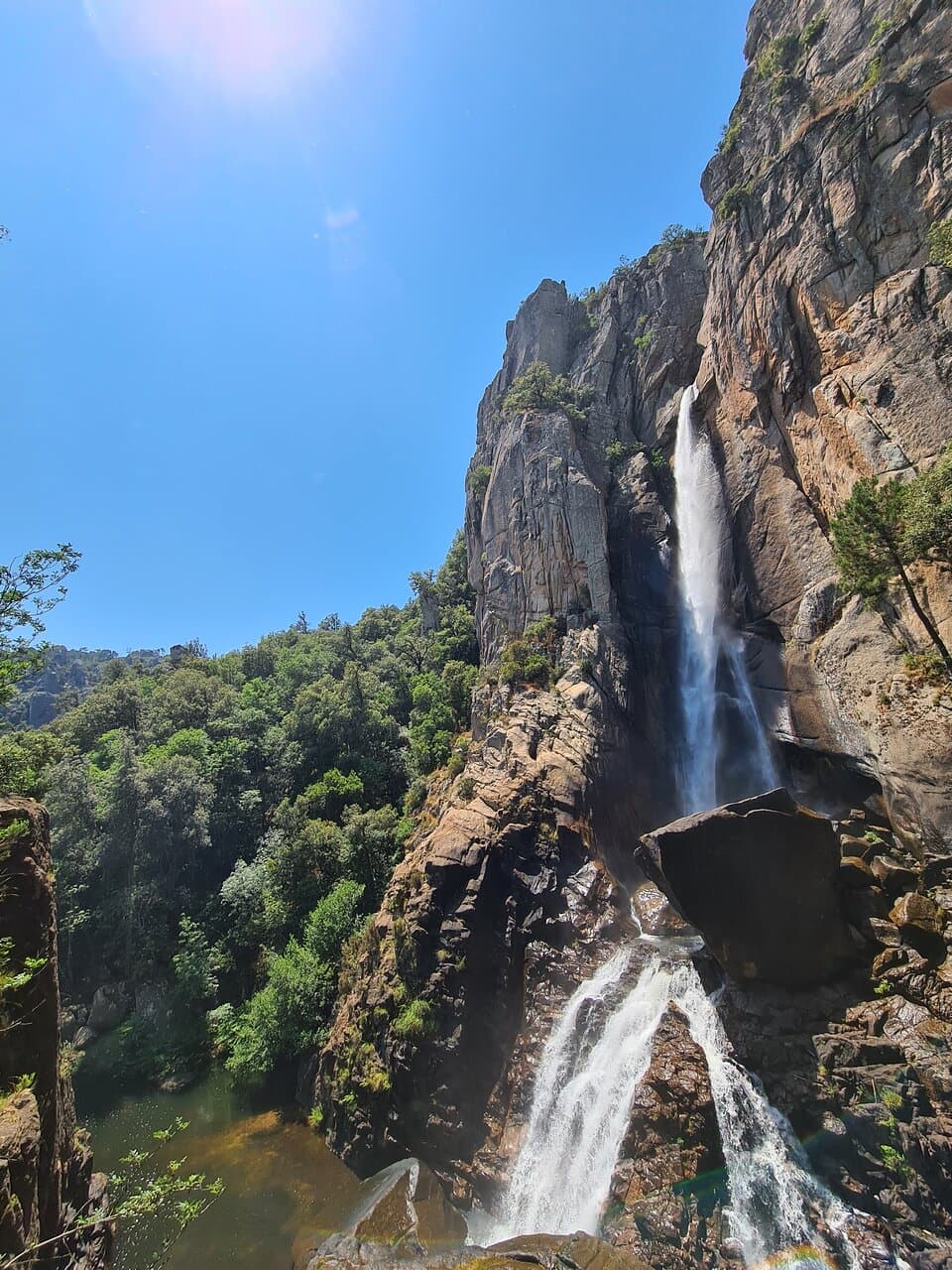 Piscia di Gallu