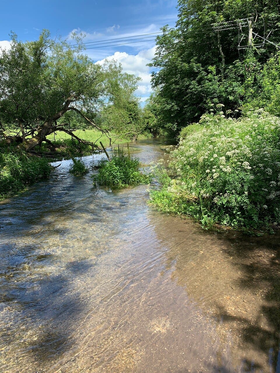 Meon Valley Trail